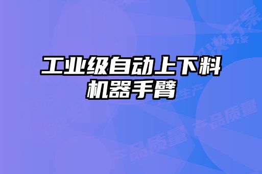 工業(yè)級自動上下料機(jī)器手臂