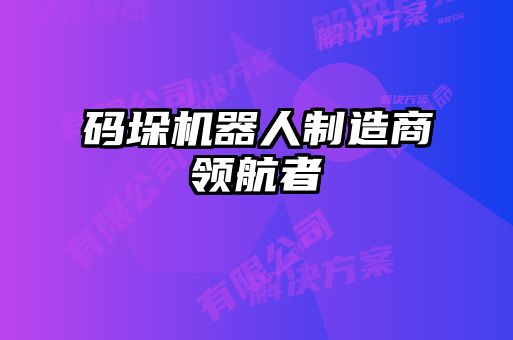 碼垛機器人制造商領(lǐng)航者