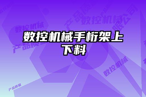 數(shù)控機械手桁架上下料