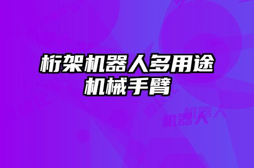 桁架機(jī)器人多用途機(jī)械手臂