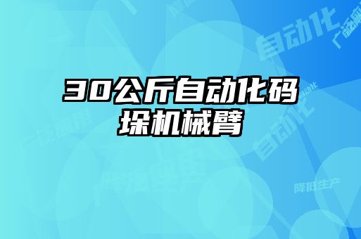 30公斤自動(dòng)化碼垛機(jī)械臂