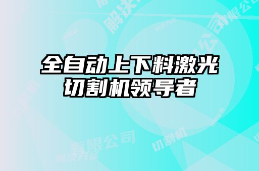 全自動上下料激光切割機領(lǐng)導(dǎo)者