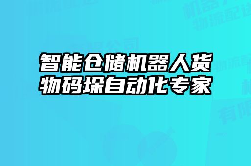 智能倉(cāng)儲(chǔ)機(jī)器人貨物碼垛自動(dòng)化專家