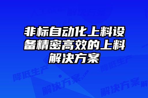 非標(biāo)自動(dòng)化上料設(shè)備精密高效的上料解決方案