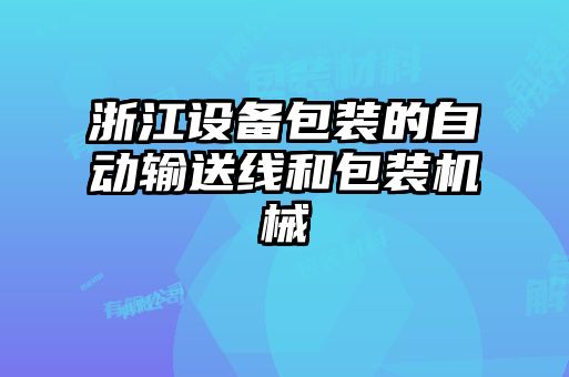 浙江設備包裝的自動輸送線和包裝機械