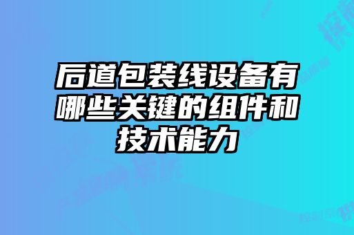 后道包裝線設(shè)備有哪些關(guān)鍵的組件和技術(shù)能力