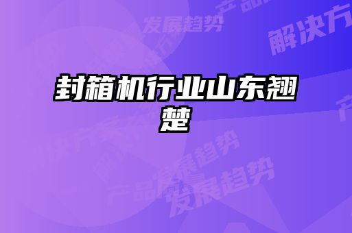 封箱機行業(yè)山東翹楚