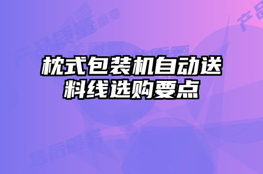 枕式包裝機自動送料線選購要點