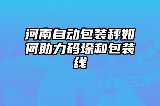 河南自動包裝秤如何助力碼垛和包裝線