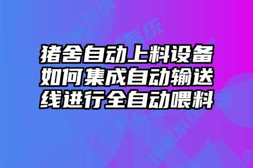 豬舍自動上料設(shè)備如何集成自動輸送線進行全自動喂料