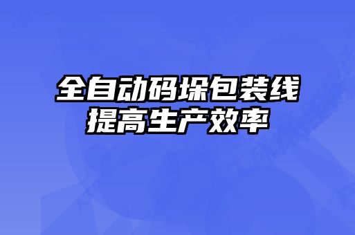 全自動碼垛包裝線提高生產(chǎn)效率