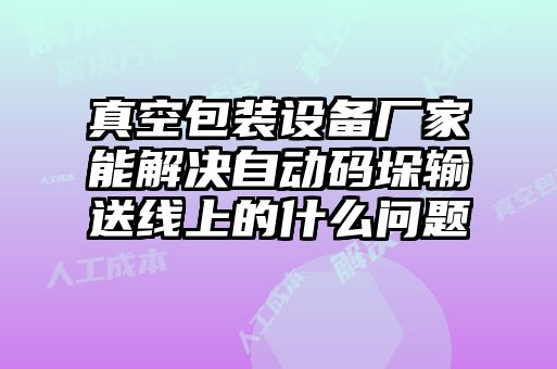 真空包裝設(shè)備廠家能解決自動碼垛輸送線上的什么問題