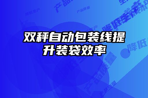 雙秤自動包裝線提升裝袋效率