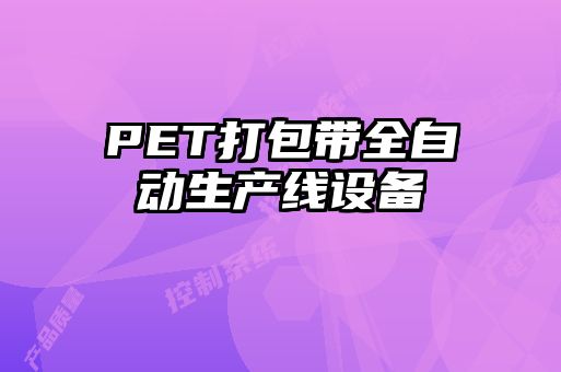 PET打包帶全自動生產(chǎn)線設(shè)備