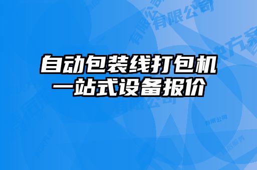 自動包裝線打包機一站式設備報價