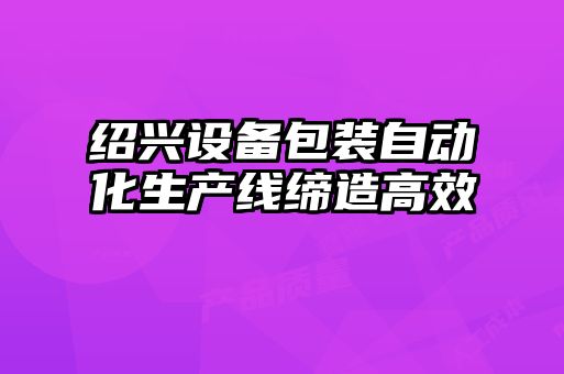 紹興設備包裝自動化生產(chǎn)線締造高效