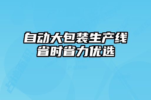 自動大包裝生產(chǎn)線省時省力優(yōu)選