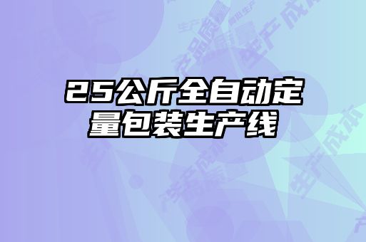 25公斤全自動定量包裝生產(chǎn)線