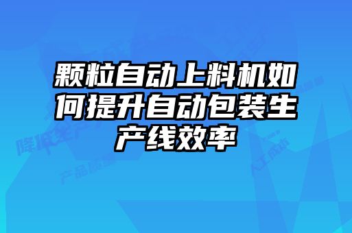 顆粒自動上料機如何提升自動包裝生產(chǎn)線效率