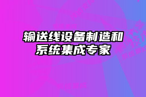 輸送線設(shè)備制造和系統(tǒng)集成專家