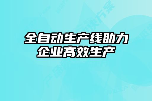 全自動生產(chǎn)線助力企業(yè)高效生產(chǎn)