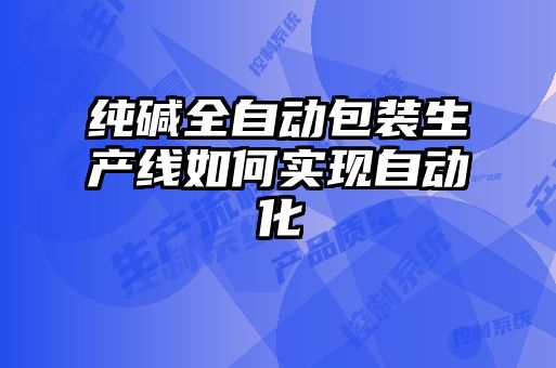 純堿全自動包裝生產(chǎn)線如何實現(xiàn)自動化